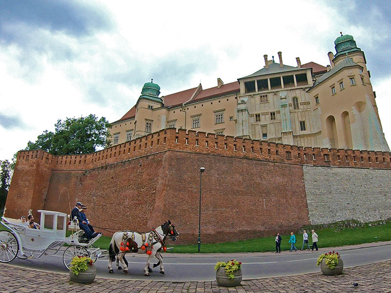 mimionthego-cracovia-800x600